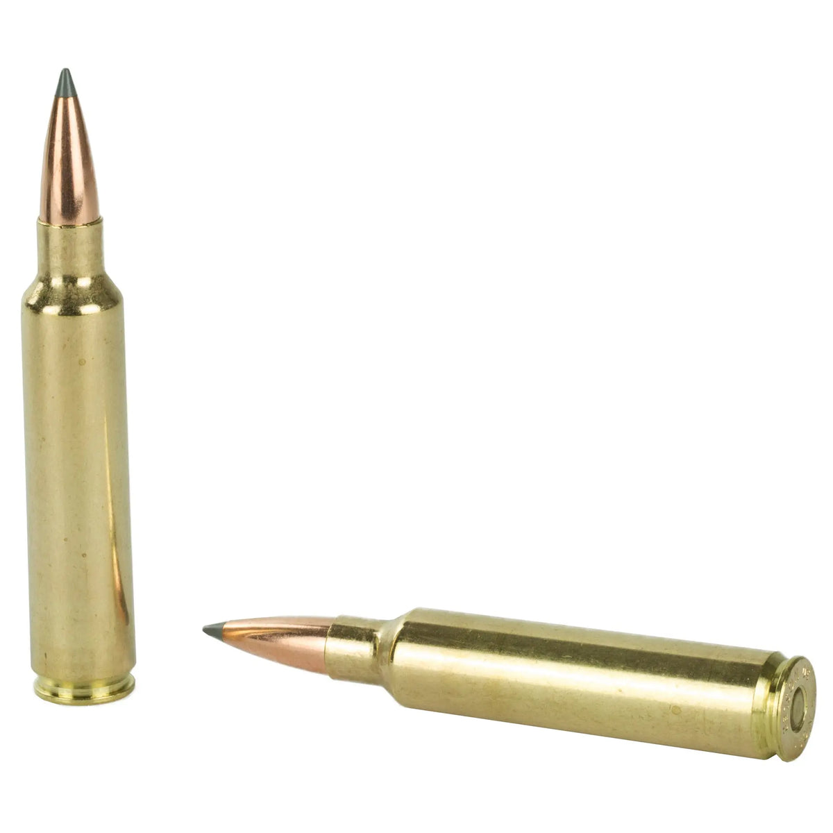 NOSLER 30NOS 210GR ABLR 20/200 - American Ordnance