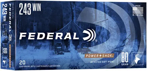 80GR SP 20RD 10BX/CSFEDERAL POWER-SHOK 243 WIN - American Ordnance