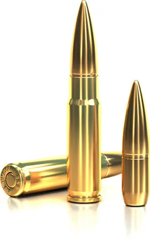 20RD 50BX/CSS&B SUBSONIC 300 AAC 200GR FMJ - American Ordnance