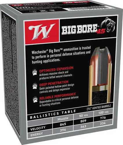 250GR JHP 20RD 10BX/CSWINCHESTER BIG BORE 45 LC - American Ordnance