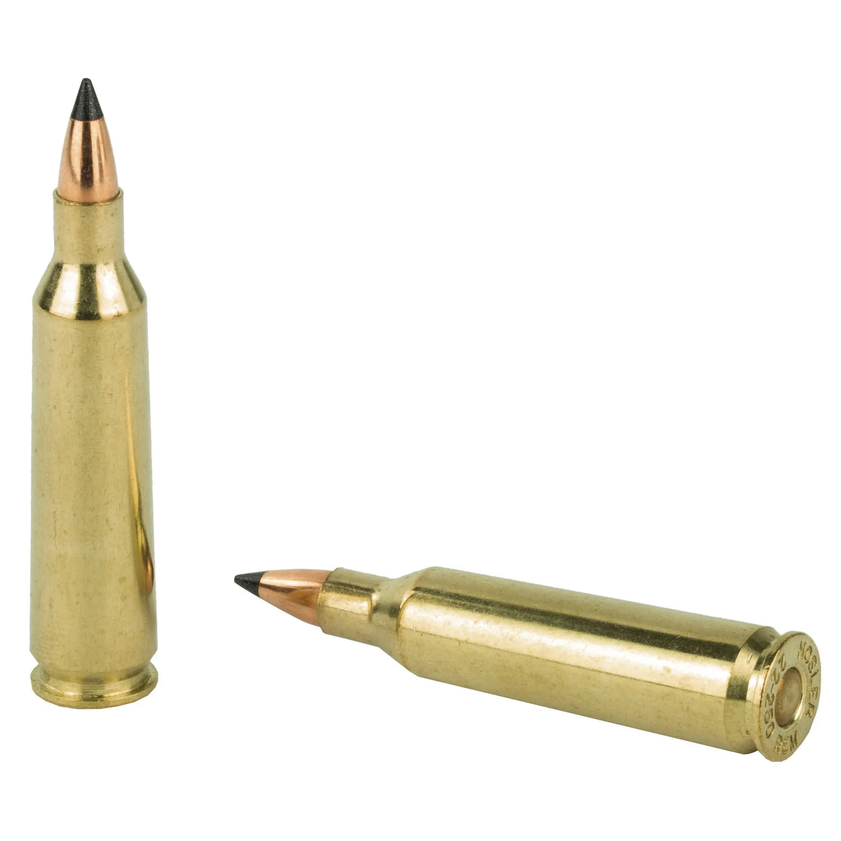 NOSLER VG 22-250 55GR FB TIP 20/200 - American Ordnance