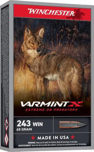65GR EXTREME PT 20RD 10BX/CSWINCHESTER VARMINT-XP 243 WIN - American Ordnance