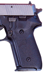 P229 RUBBER PANELS BLACKHOGUE GRIPS SIGARMS P228 & - American Ordnance