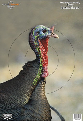 TURKEY 8 TARGETSB/C TARGET PREGAME 12"X18" - American Ordnance