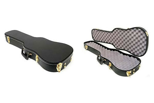 Pistol Violin Case - American Ordnance