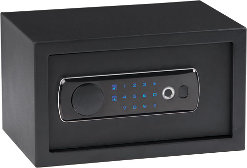 VAULT 12"X8"X7 BLACK<<BULLDOG DUAL LED/BIOMETRIC - American Ordnance