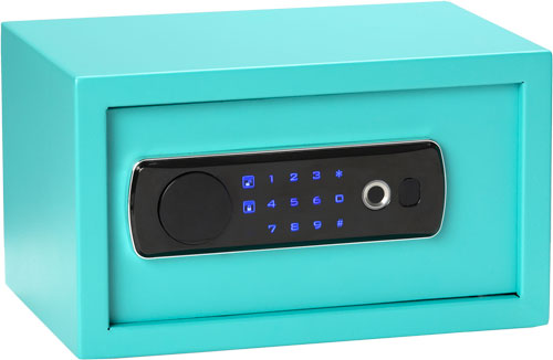 VAULT 12"X8"X7 TEAL SPECKLE<<BULLDOG DUAL LED/BIOMETRIC - American Ordnance
