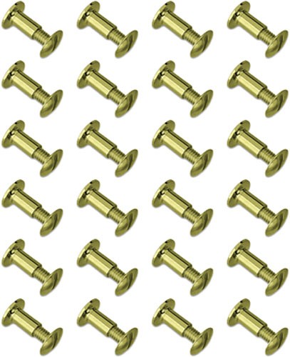 24-PACKGROVTEC BRASS CHICAGO SCREWS - American Ordnance
