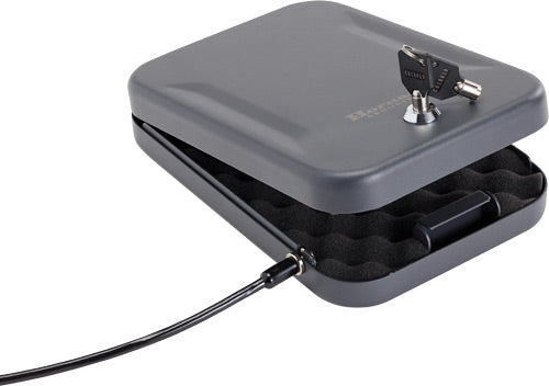 HORNADY LOCK BOX LARGE - American Ordnance