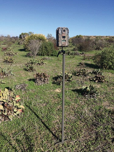 STICK 34" HIGH STEELSTEALTH CAM TRAIL CAM MOUNTING - American Ordnance
