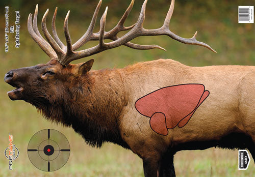 ELK TARGET 3-TARGETSB/C TARGET PREGAME 16.5"X24" - American Ordnance