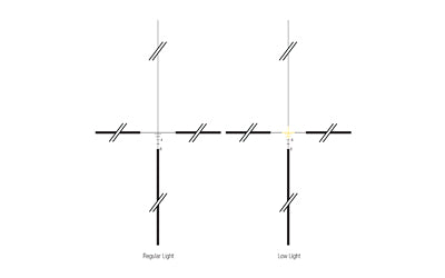 201139631.jpg
