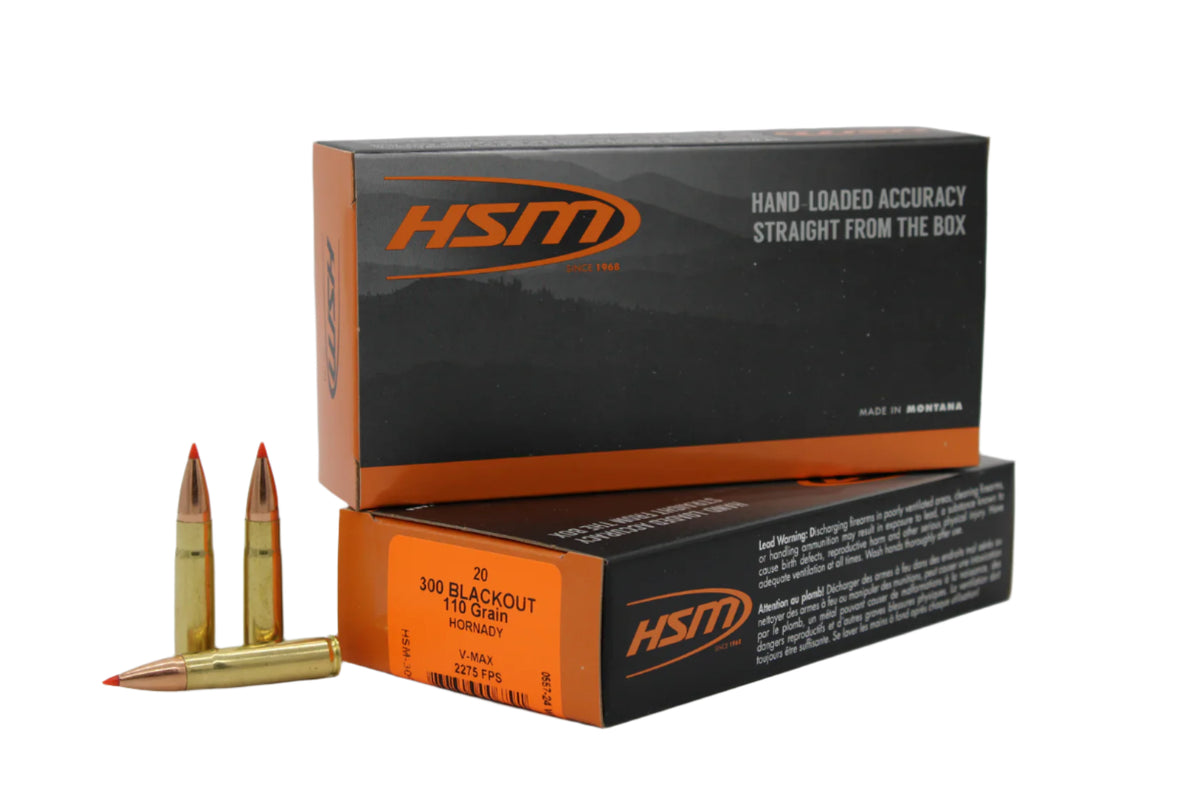 HSM 300 AAC 110GR V-MAX 20RD